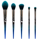 Daily Essentials -5 Piece Face & Eye Brush Set